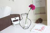 Nordic Retro Iron Line Flower Vase