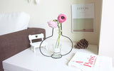 Nordic Retro Iron Line Flower Vase